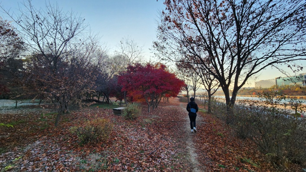 경정공원