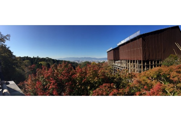 일본 대표 단풍 스팟, 교토 청수사 (우측이 본당과 테라스, 저멀리 교토 시내가 보인다)