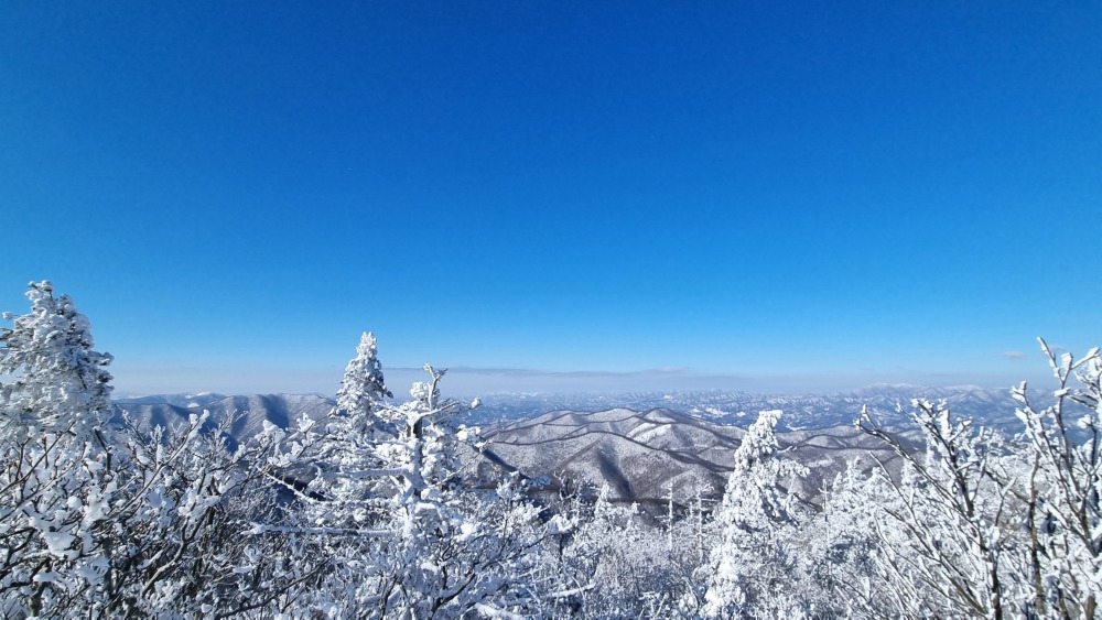 발왕산 산그래매