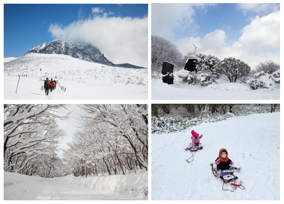 겨울왕국 제주/ 사진=제주관광공사