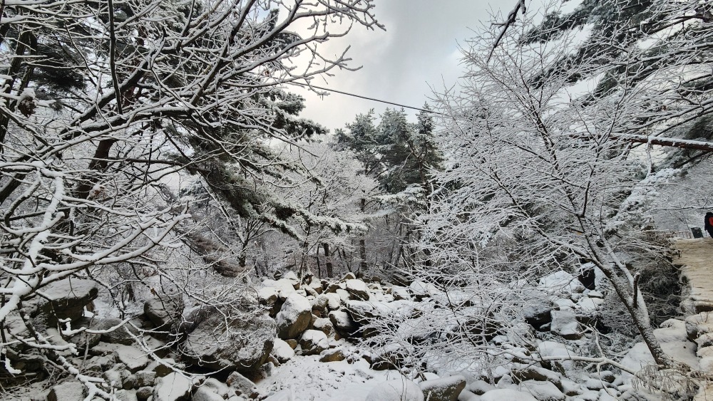 계곡길 설경