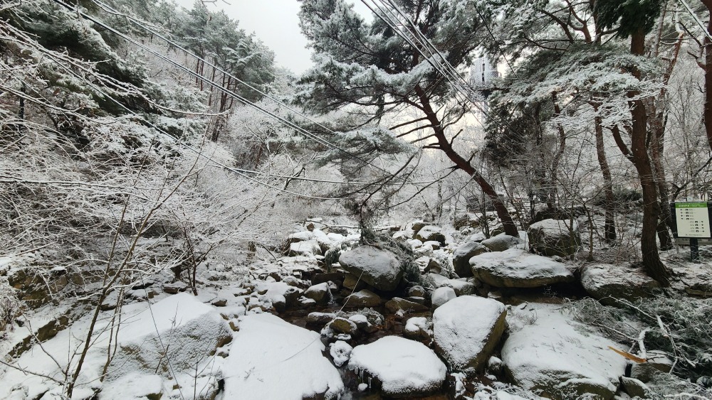 계곡길 설경