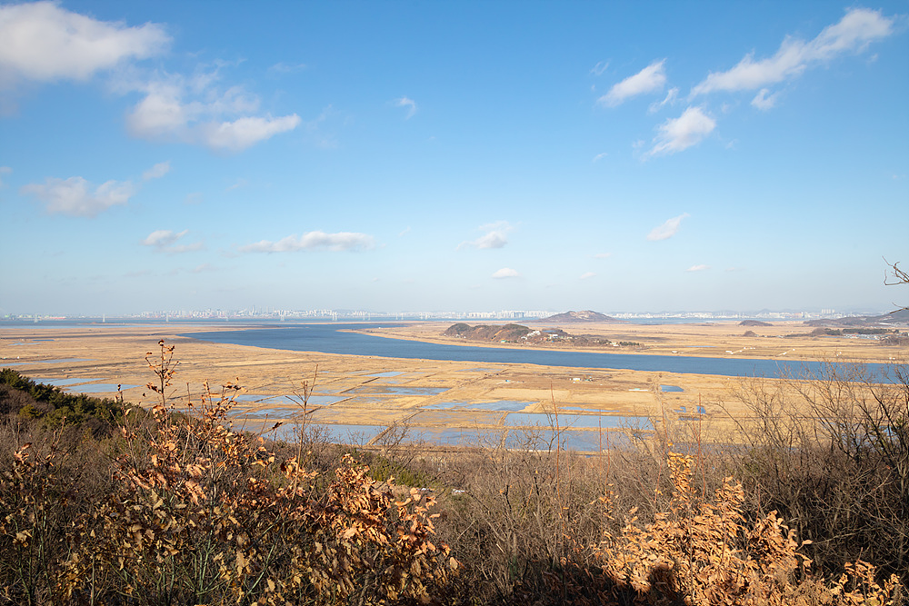 안산 바다향기수목원. 사진=경기관광공사